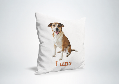 Cojín premium personalizado