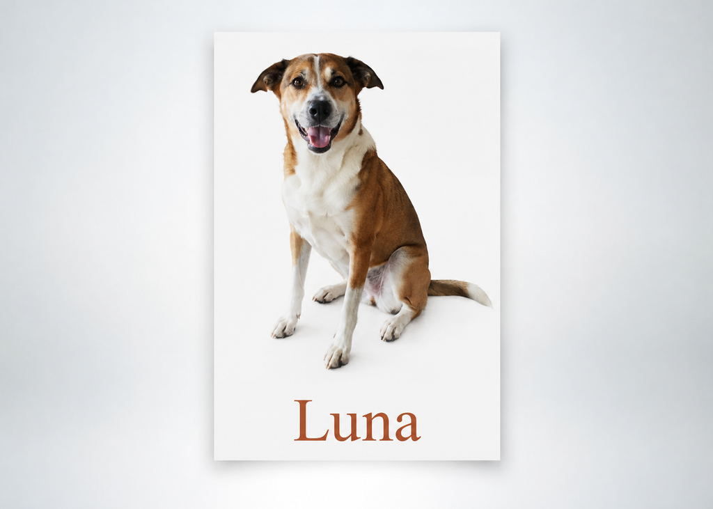 Póster personalizado de mascota