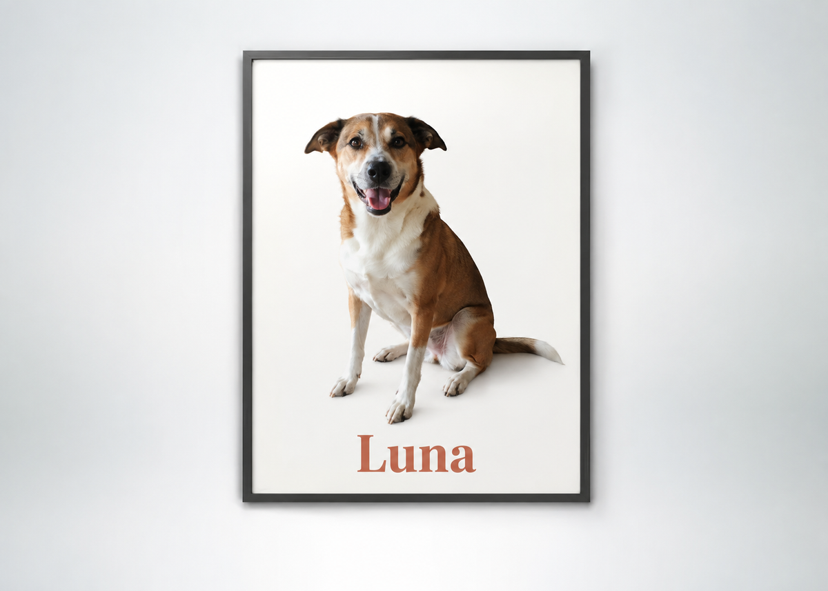 Póster enmarcado personalizado