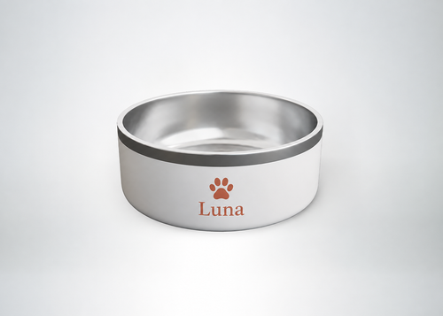 Comedero personalizado para perro